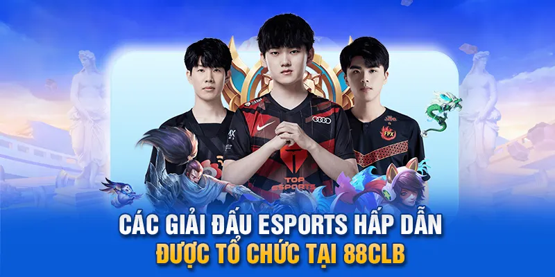 Hướng dẫn cá cược Esports chi tiết cho người mới.