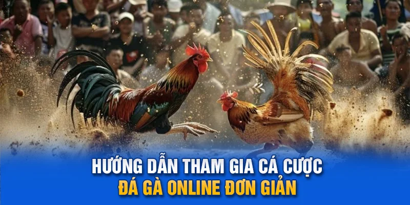 Hướng dẫn tham gia cá cược đá gà online đơn giản.